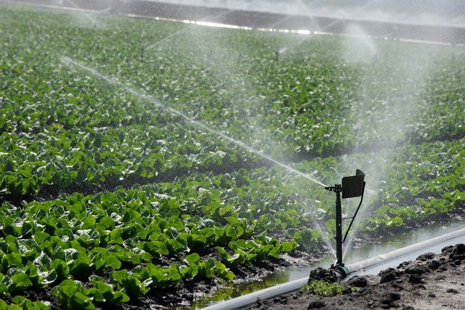 Agriculture System